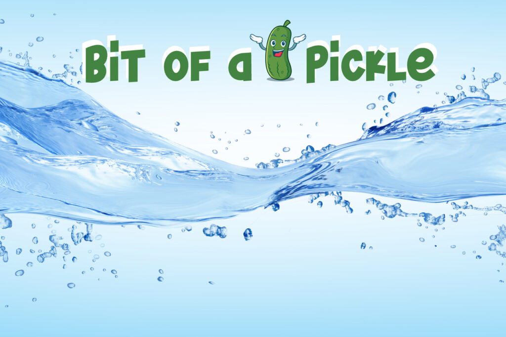 Logo of 'Bit of a Pickle' with a pickle character in water splash.