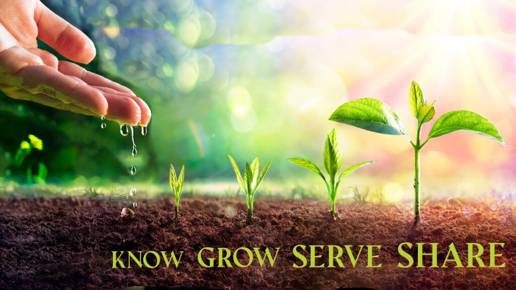 Young plants growing in soil under sunlight with the words Know, Grow, Serve.
