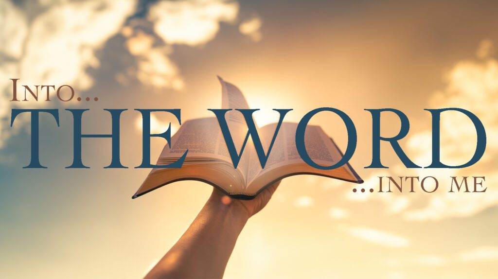 A hand holds an open book against a glowing sunset sky.