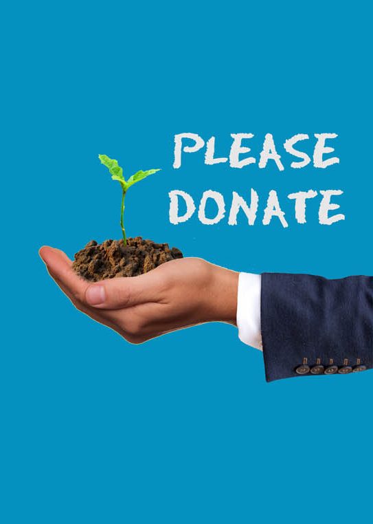 Hand holding sprout, "Please Donate" text
