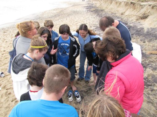 Beach gathering with focused group activity