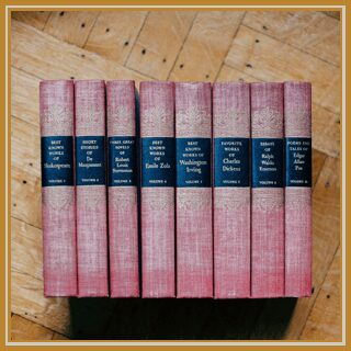 Classic literature books lined up