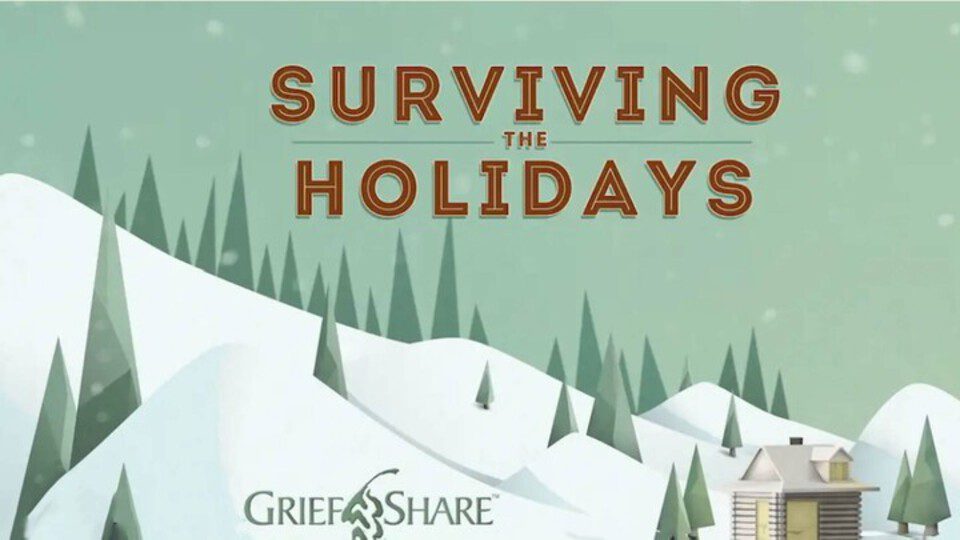 Surviving the Holidays snowy landscape