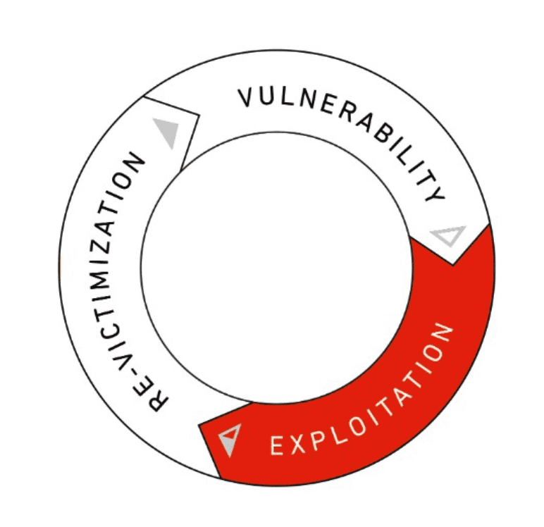 A circular diagram showing vulnerability, exploitation, and reduction stages.